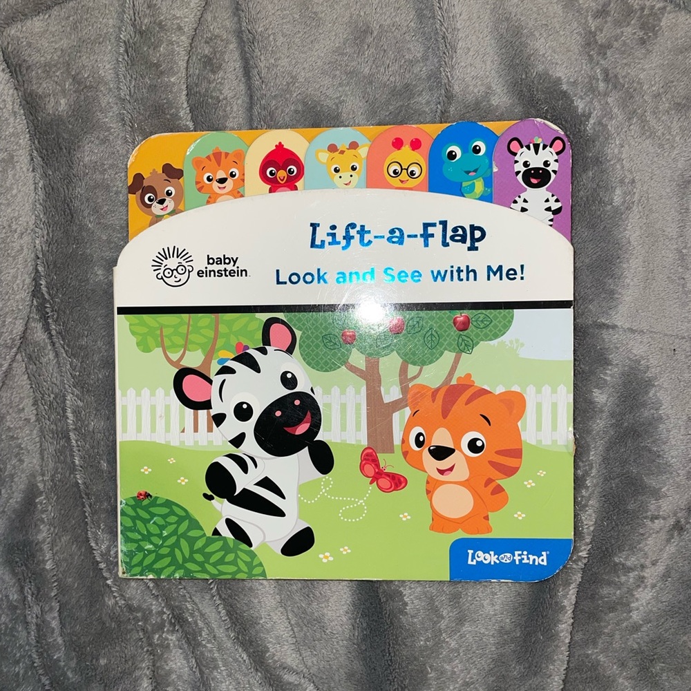 -Lift a Flap Look and See with Me book